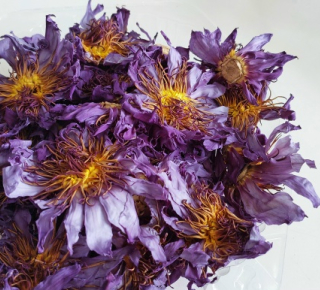 Новосибирские таможенники пресекли ввоз галлюциногенного чая с лотосом