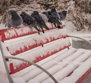 Погода в Новосибирске на выходные: снегопады и резкое похолодание