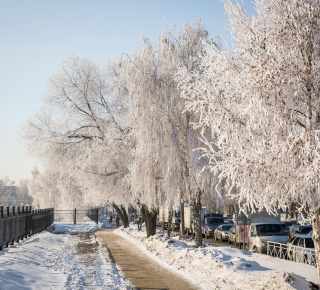 Потепление и снег в Новосибирске: прогноз погоды на ближайшие дни