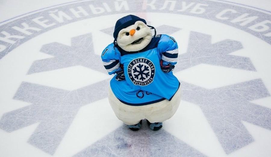 Власти Новосибирской области сократят финансирование девяти из десяти профессиональных спортивных клубов в 2026 году