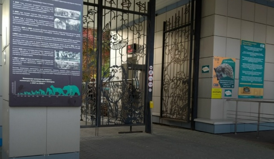 Новосибирский зоопарк объявил о росте цен на билеты из-за инфляции