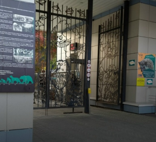 Новосибирский зоопарк объявил о росте цен на билеты из-за инфляции