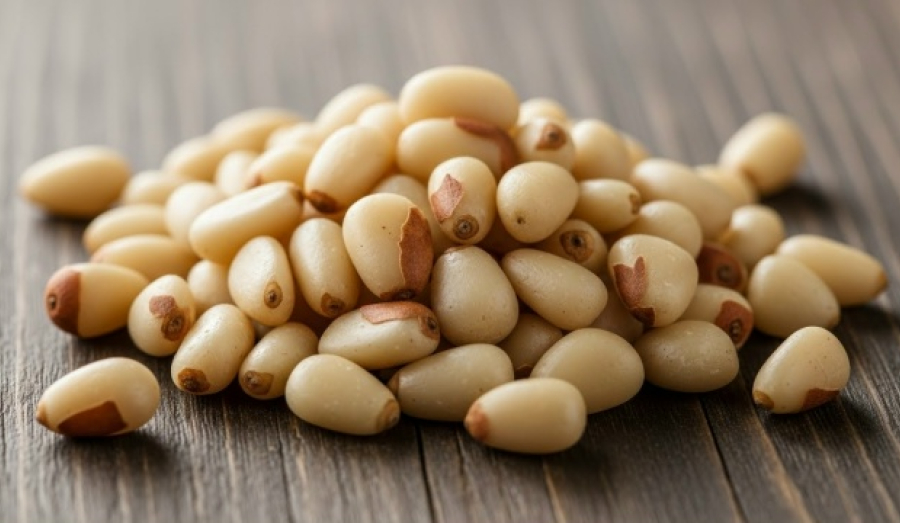 Новосибирская область вывезла на экспорт 88 тонн кедровых орехов