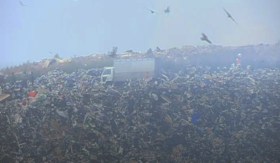 В Новосибирской области продлен срок работы Левобережной свалки