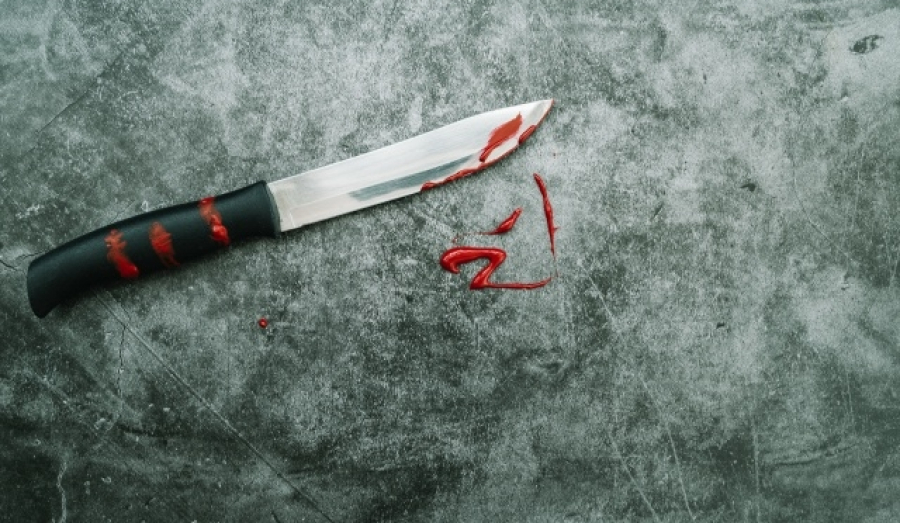 Под Новосибирском женщина убила свою 52-летнюю собутыльницу ножом