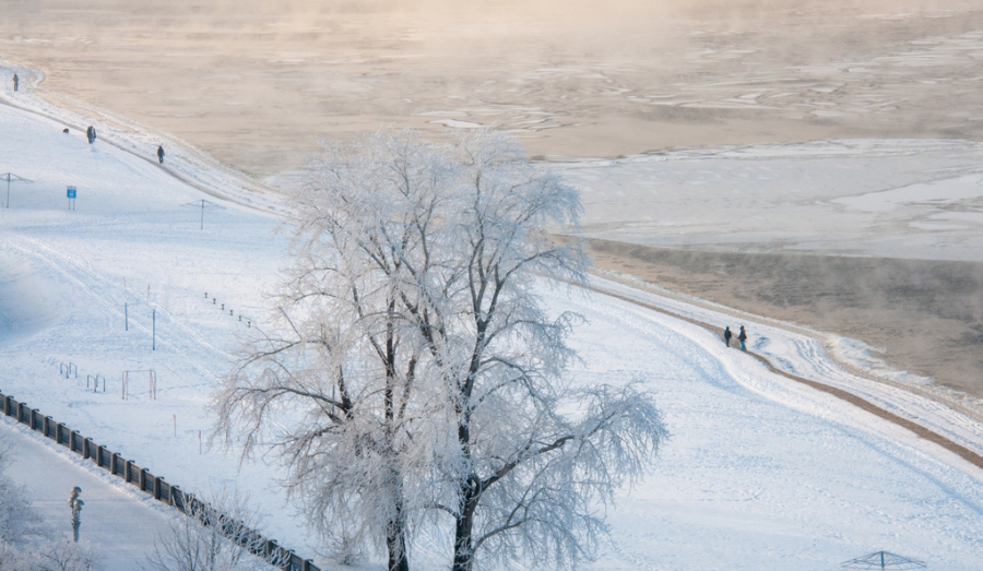 Морозы задержатся в Новосибирской области почти на неделю