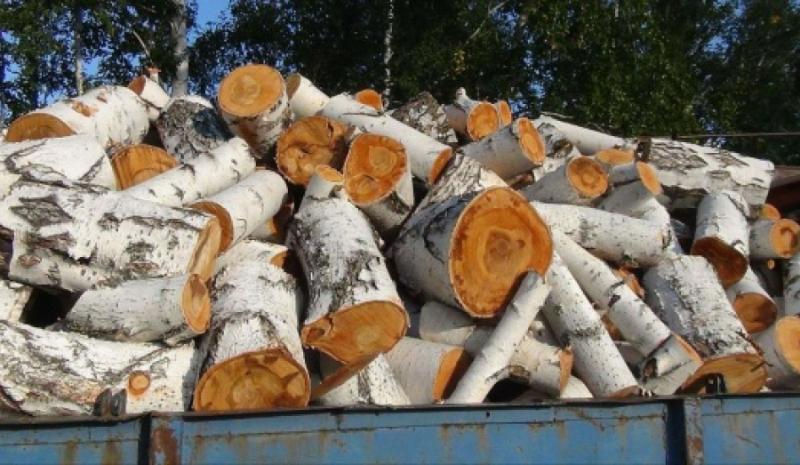В Доволенском районе осудили мужчину за незаконную вырубку 25 берез