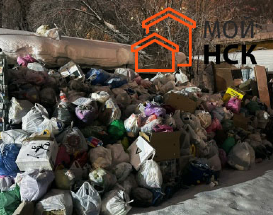 По адресу Дуси Ковальчук, 83, с 12 января не вывозится мусор со двора