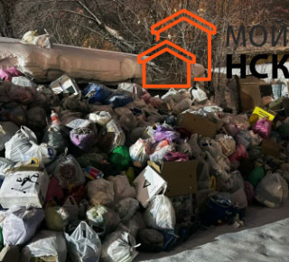 По адресу Дуси Ковальчук, 83, с 12 января не вывозится мусор со двора