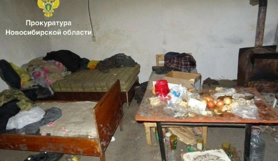 В Татарском районе осудили отца и сына за рабский труд на своей ферме