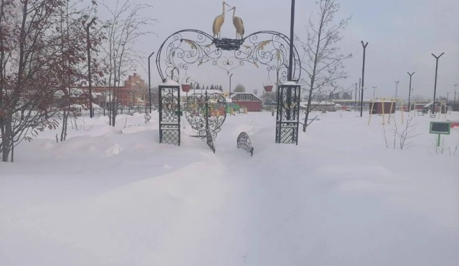 Прокуратура добилась уборки снега в центральном парке под Новосибирском
