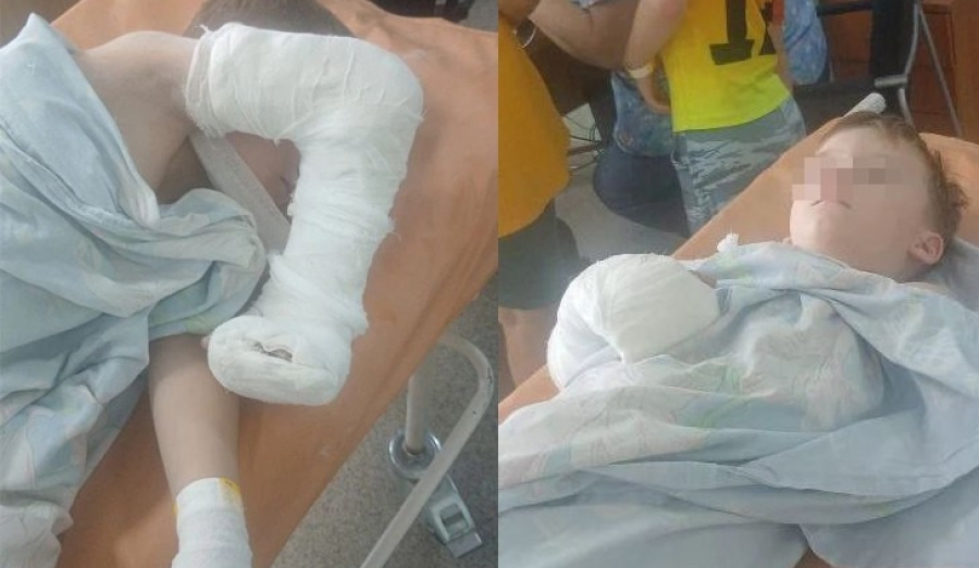 Ребенок-агрессор терроризирует воспитанников детсада «Лукоморье» в Новосибирске