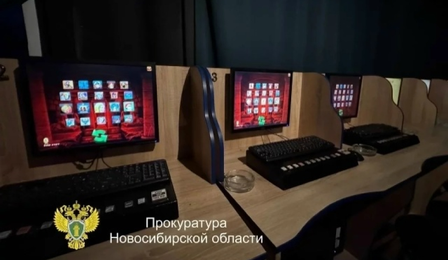 В Новосибирской области выявили и закрыли 34 игорных клуба
