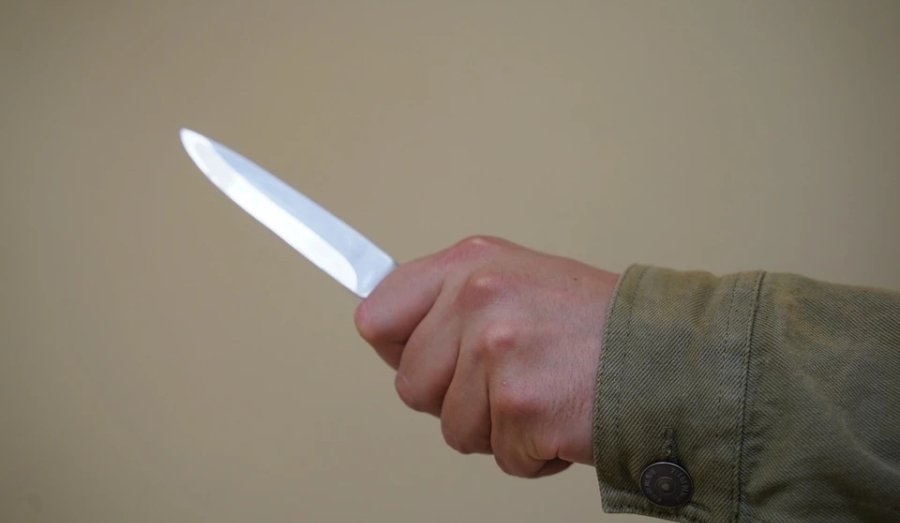 Новосибирца отправили в колонию за удар ножом в грудь сыну