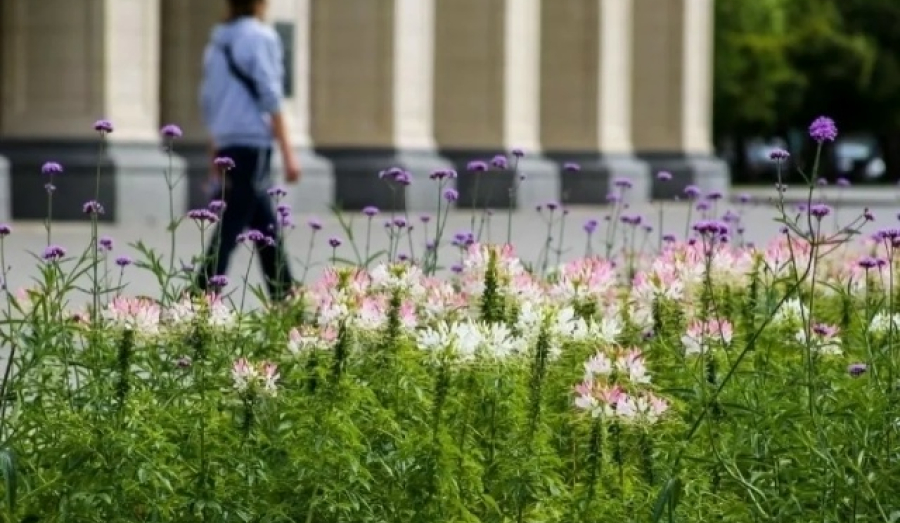 4,6 млрд рублей потратили на развитие Новосибирска по нацпроектам