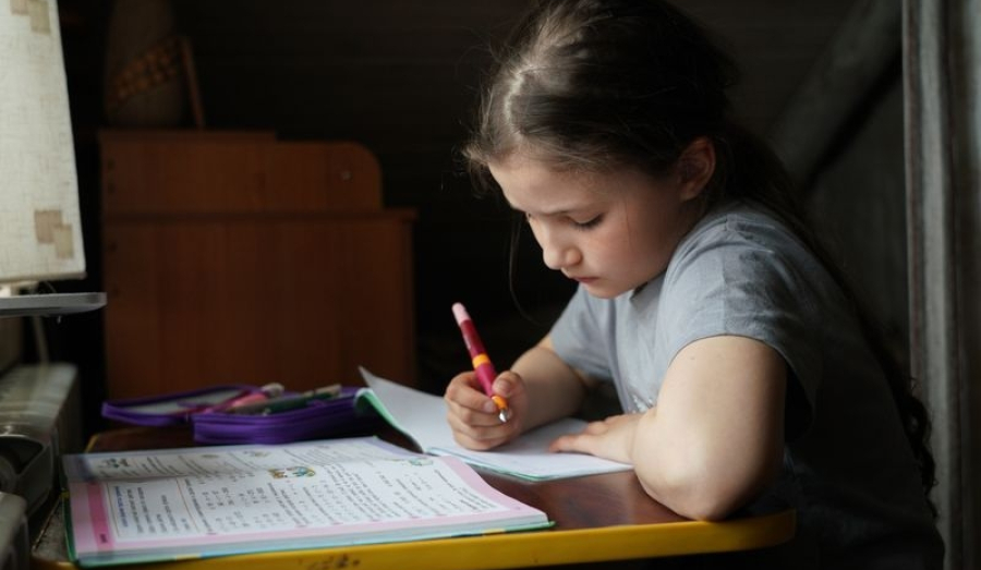 В России хотят запретить сайты с готовыми домашними заданиями