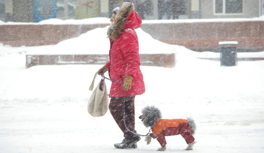 Штормовой ветер обрушится на Новосибирск