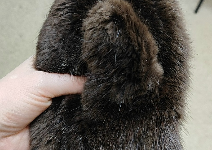 30 января с утра потеряла варежку на улице Гоголя.