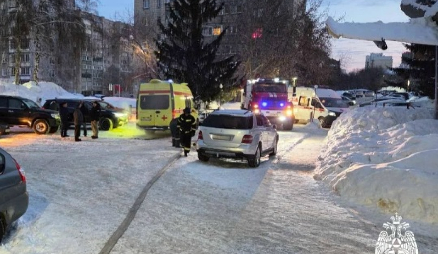 Новосибирские пожарные спасли отца и его 7-летнюю дочь