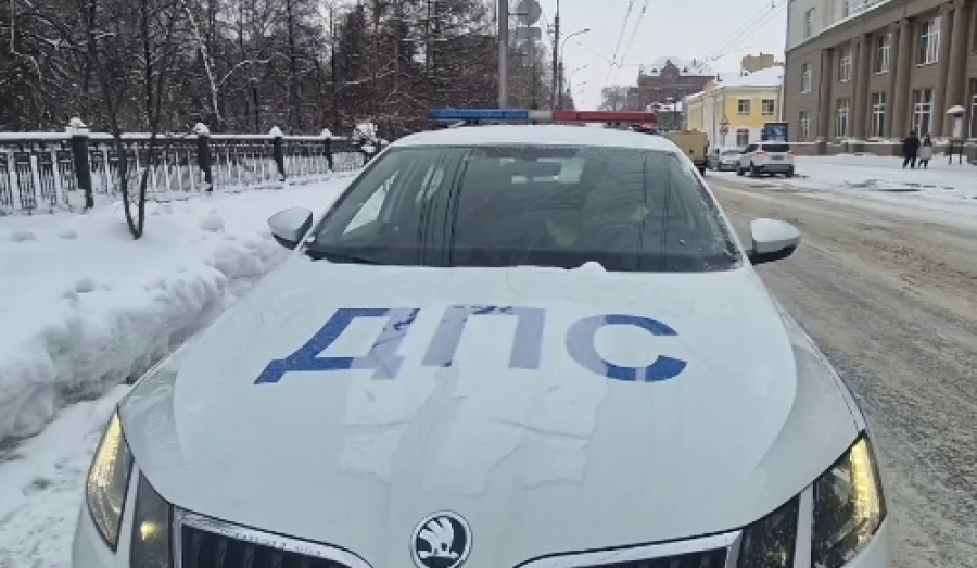 Любитель пьяного вождения избил трех новосибирских полицейских