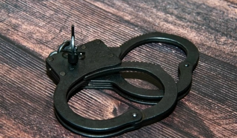 Двое новосибирцев предстанут перед судом за кражи и мошенничество