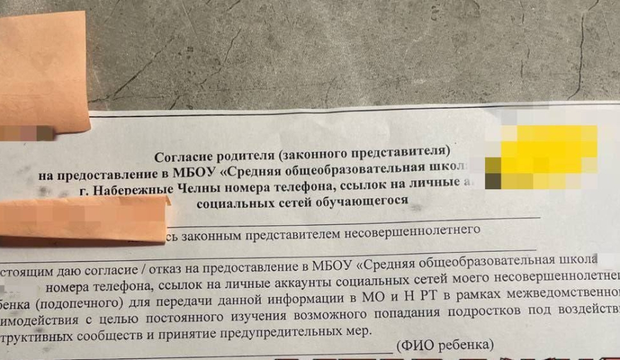 В школах Татарстана требуют доступ к соцсетям
