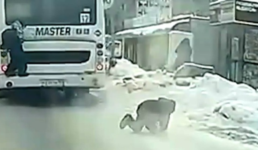 Новосибирский школьник чудом выжил после падения во время зацепинга