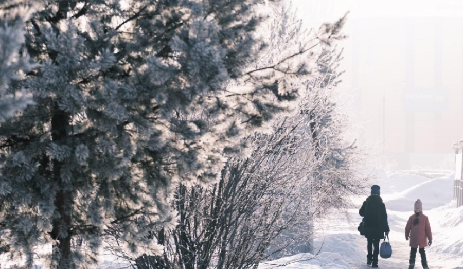 В Новосибирск снова вернётся сильный мороз –30 градусов