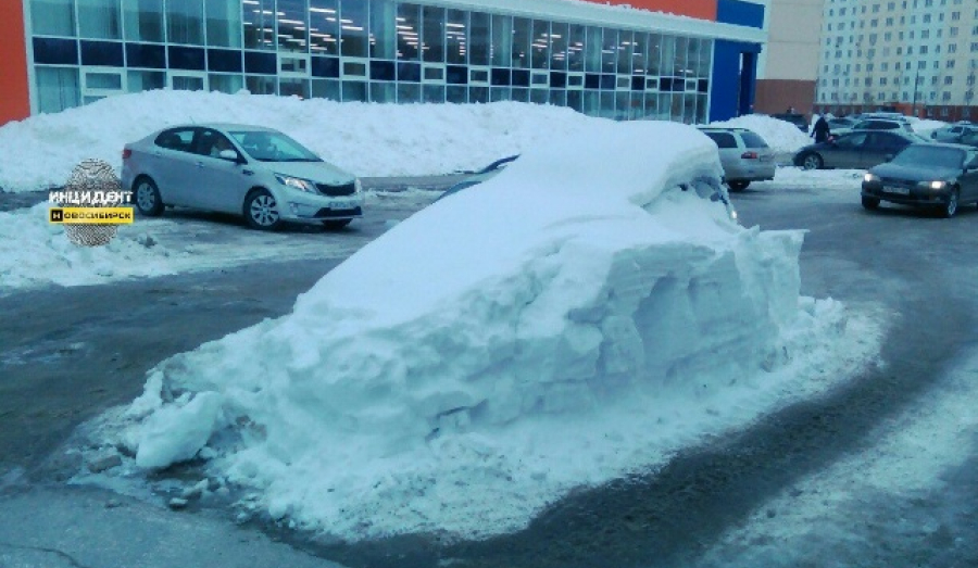 В Новосибирске брошенные во дворах «подснежники» будут обращать в собственность города