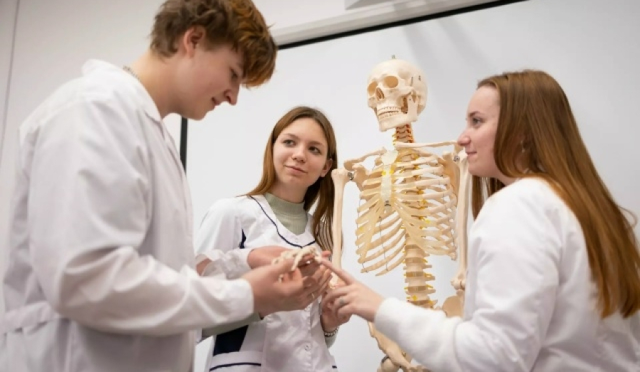 Студенты медвузов обязаны будут отработать минимум 3 года в больницах с ОМС