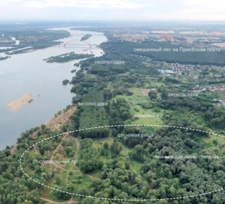 В Новосибирске представили проект ноопарка «Усть-Тула»