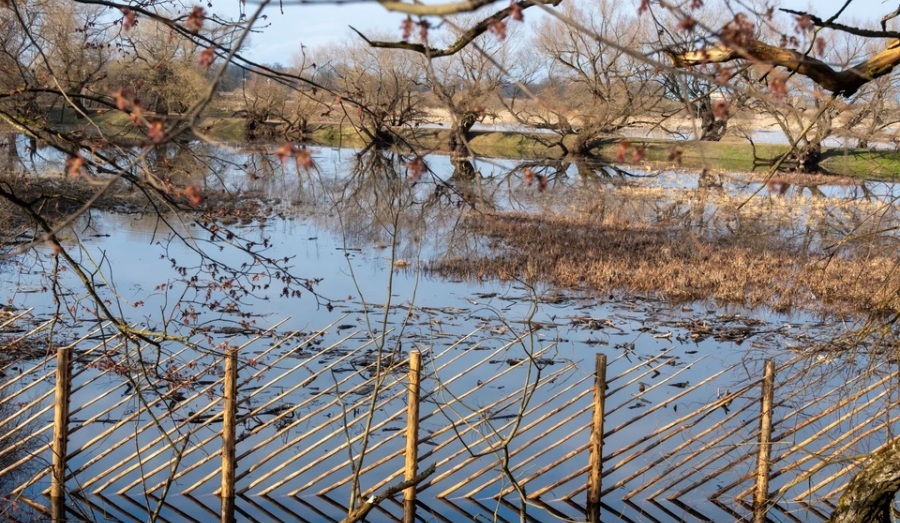 В Новосибирской области готовятся к аномальным паводкам и ранним пожарам