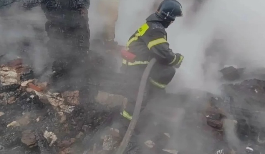 В страшном пожаре под Новосибирске погибли мать и двое детей