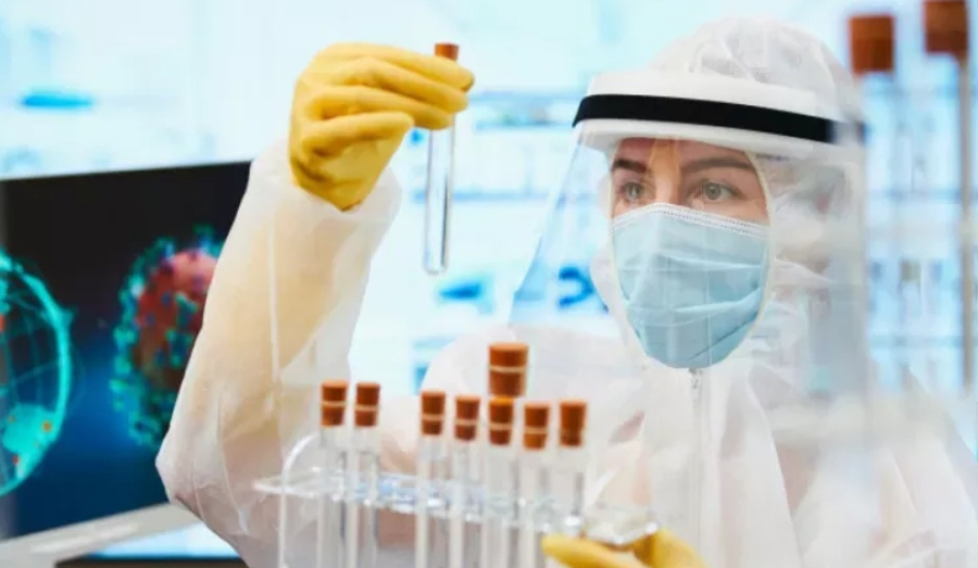 350 тысяч доз вакцины от ящура получит Новосибирская область