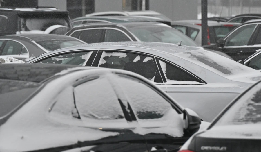 Жительница Новосибирска заработала 10 млн на псевдоторгах авто