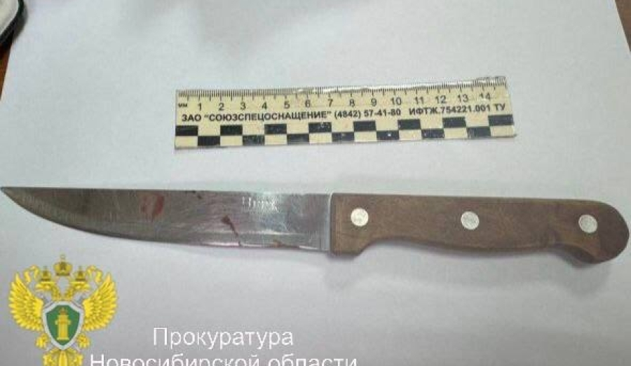 Новосибирец получил 10 месяцев колонии за угрозы убить соседа