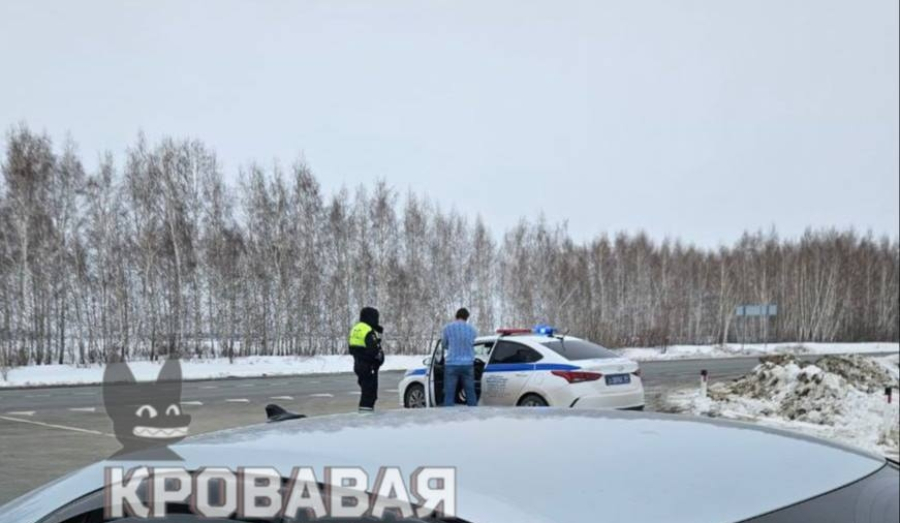 Массовое уничтожение скота в деревне: Обновлено!