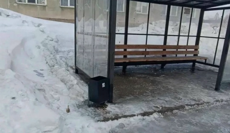 Под Новосибирском на остановке нашли макет гранаты