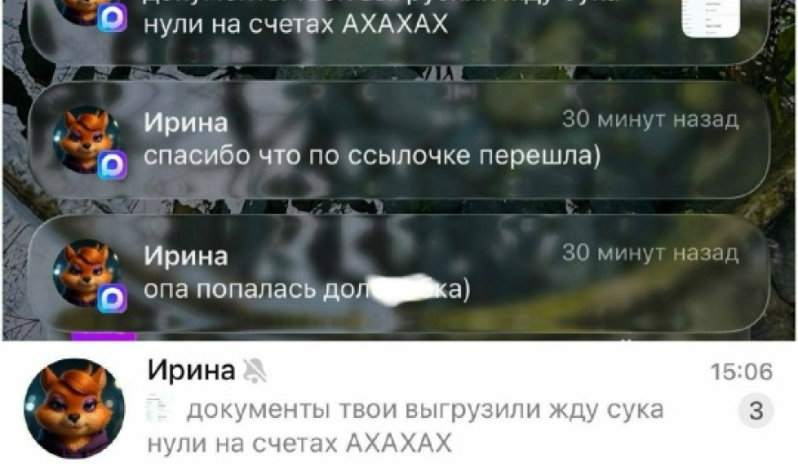 Мошенники разводят россиян в Max под видом госслужб