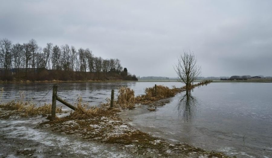 В новосибирской области затопило более 20 участков и три подвала