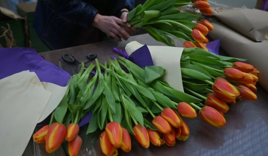 Кража 80 тюльпанов: новосибирец попал под суд