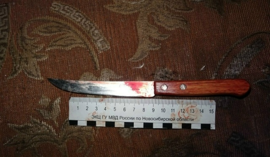 В Новосибирской области женщина 20 раз ударила ножом знакомую