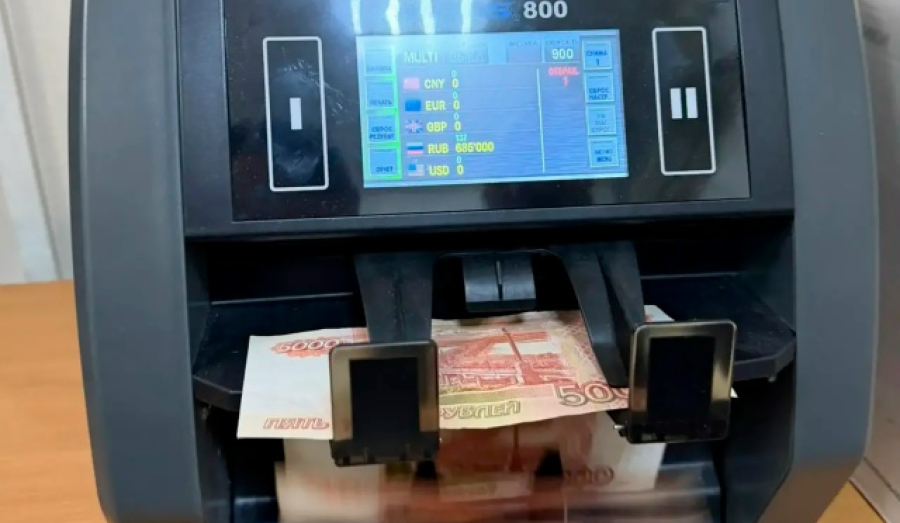 В Новосибирске пассажир пытался вывезти 25 млн рублей в Душанбе