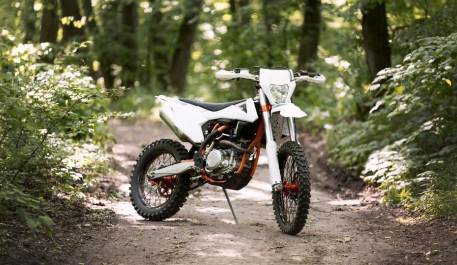 В Новосибирске суд запретил кататься в Дендропарке на мотоциклах