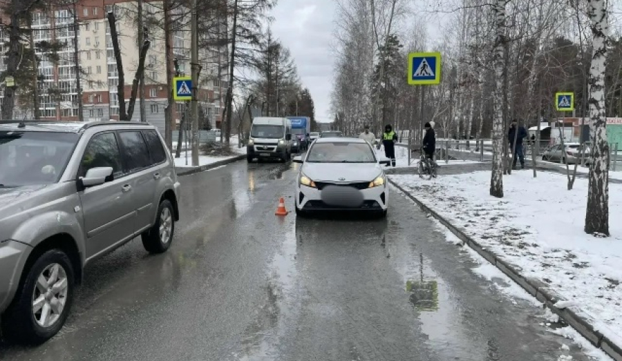 Водитель сбил 10-летнего велосипедиста на переходе