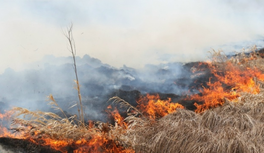 Предупреждение МЧС: пожароопасность в Новосибирской области