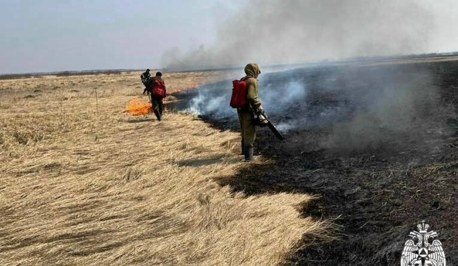Огонь чуть не уничтожил СНТ «Берёзка» в Искитиме
