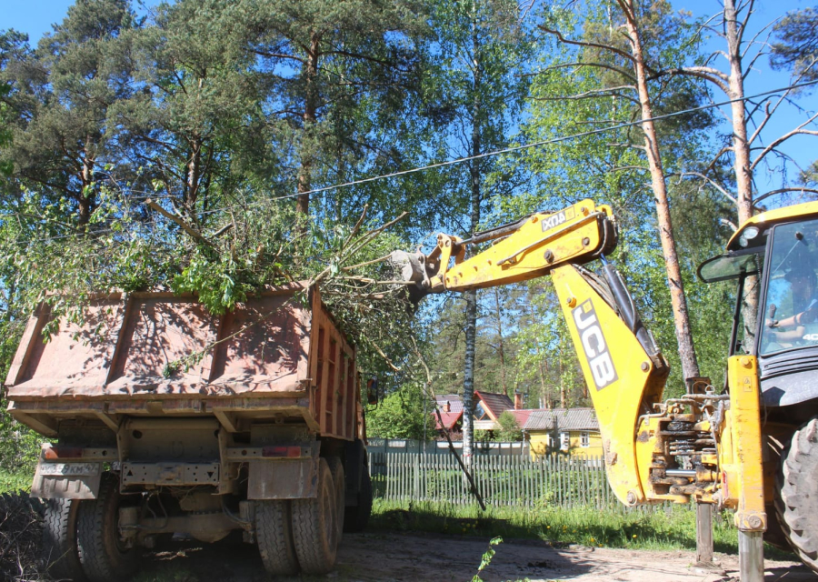 Расчистка участков и удаление растительности