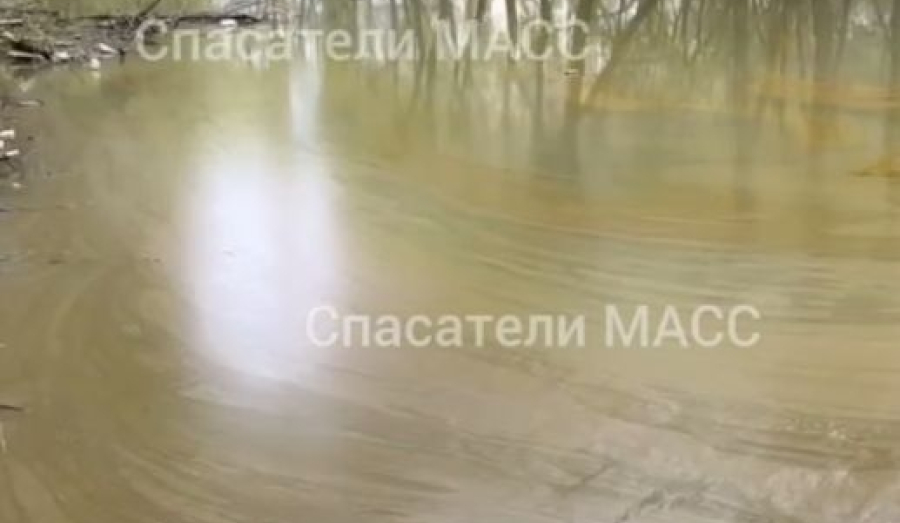 На Мочищенском шоссе разлились тонны рапсового масла