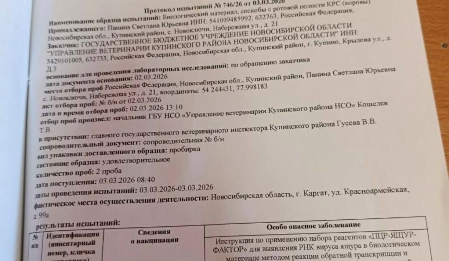 Вспышка ящура подтверждена в Новосибирской области